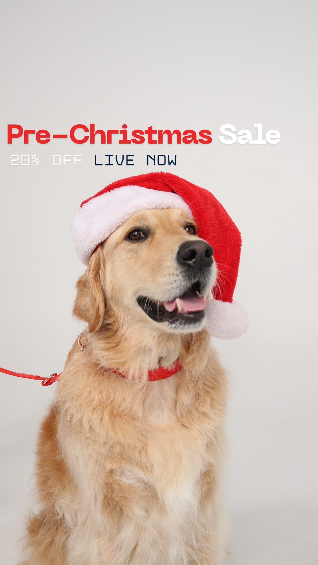 Pre-Christmas SALE