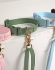 Sage Green Everyday Dog Collar