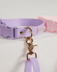 Lilac Everyday Dog Collar