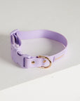 Lilac Everyday Dog Collar