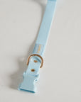 Sky Blue Everyday Dog Collar