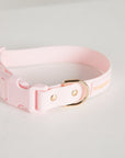 Baby Pink Everyday Dog Collar