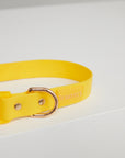 Waterproof Dog Collar - Lemon Yellow
