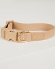 Beige dog collar with a gold buckle on a light gray background