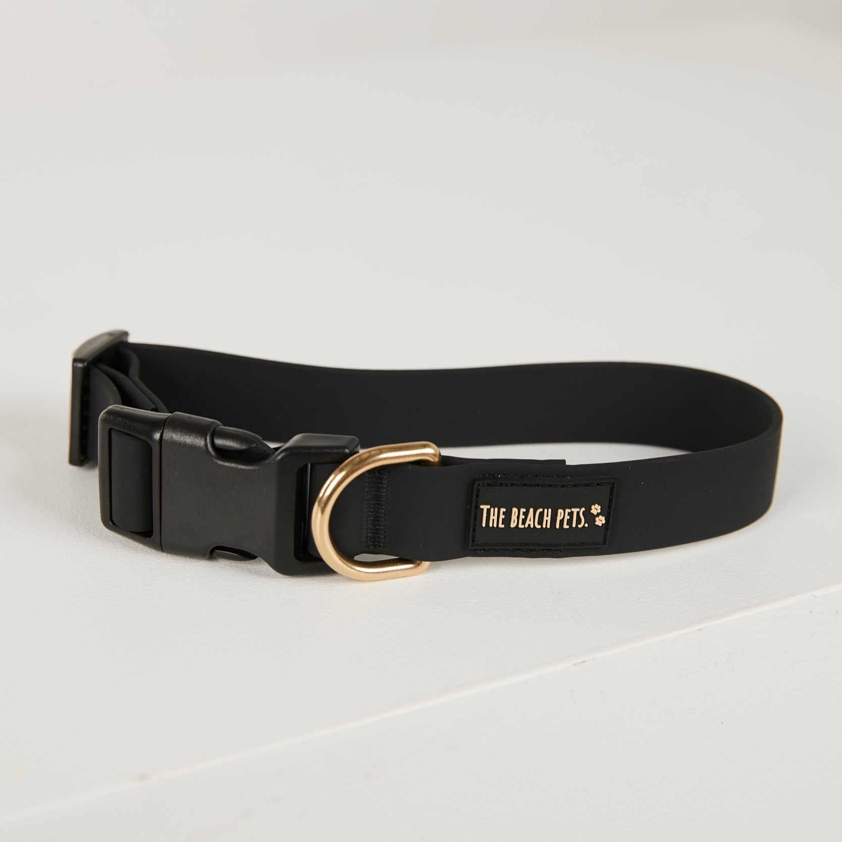 Black dog collar with gold buckle on a light gray background