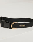 Black dog collar with gold buckle on a light gray background