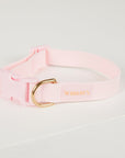 Pink dog collar with a gold buckle on a light gray background