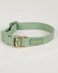 Green dog collar with gold buckle on a light gray background