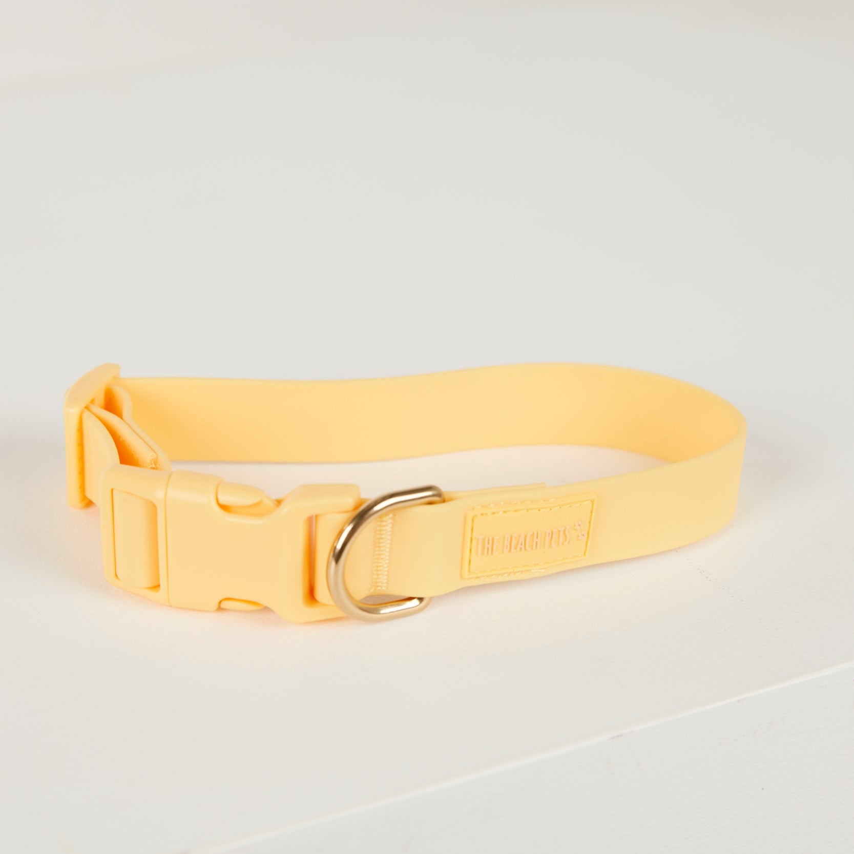 Yellow dog collar on a light gray background