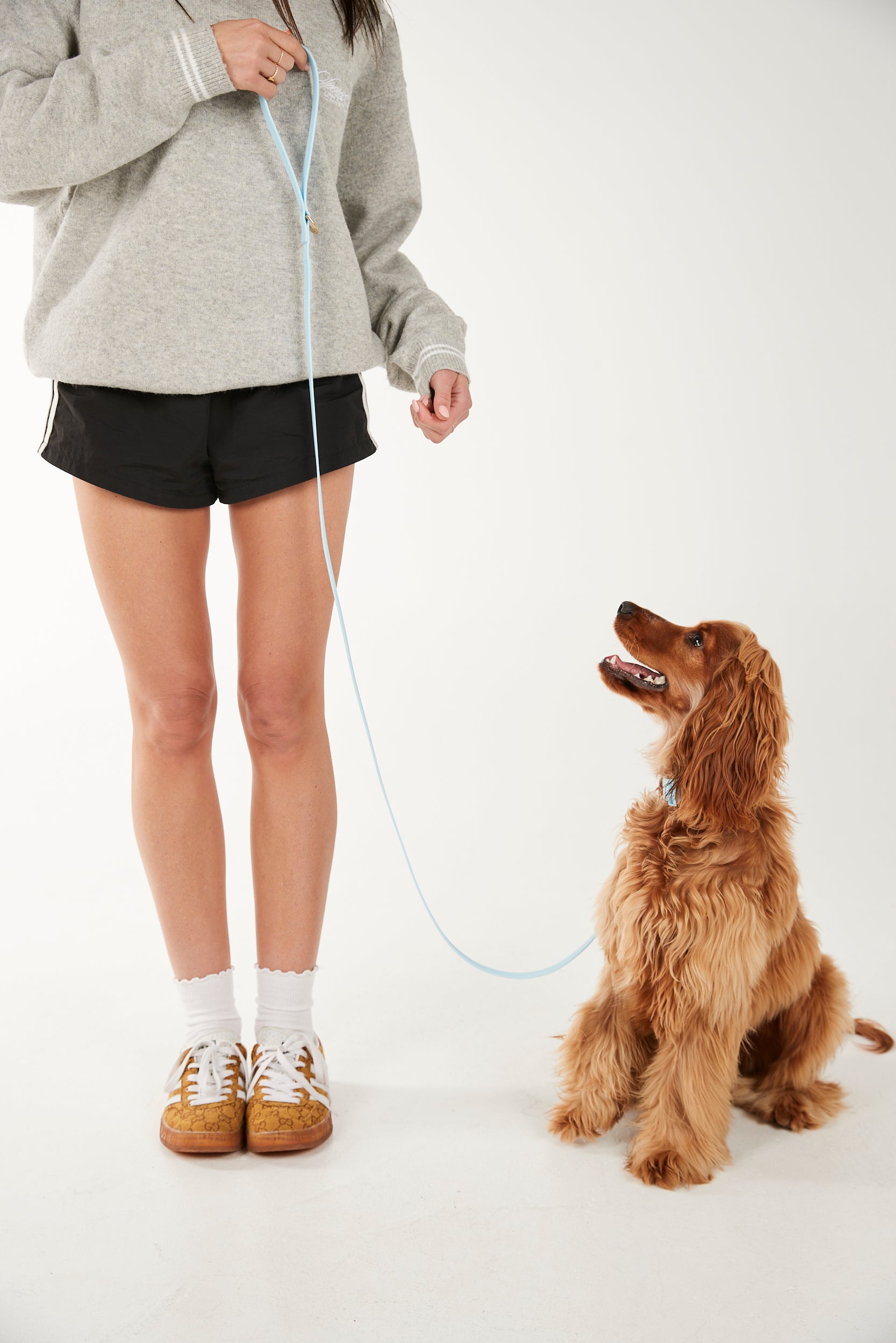 Person holding a dog leash with a dog sitting on a white background