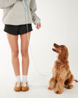 Person holding a dog leash with a dog sitting on a white background