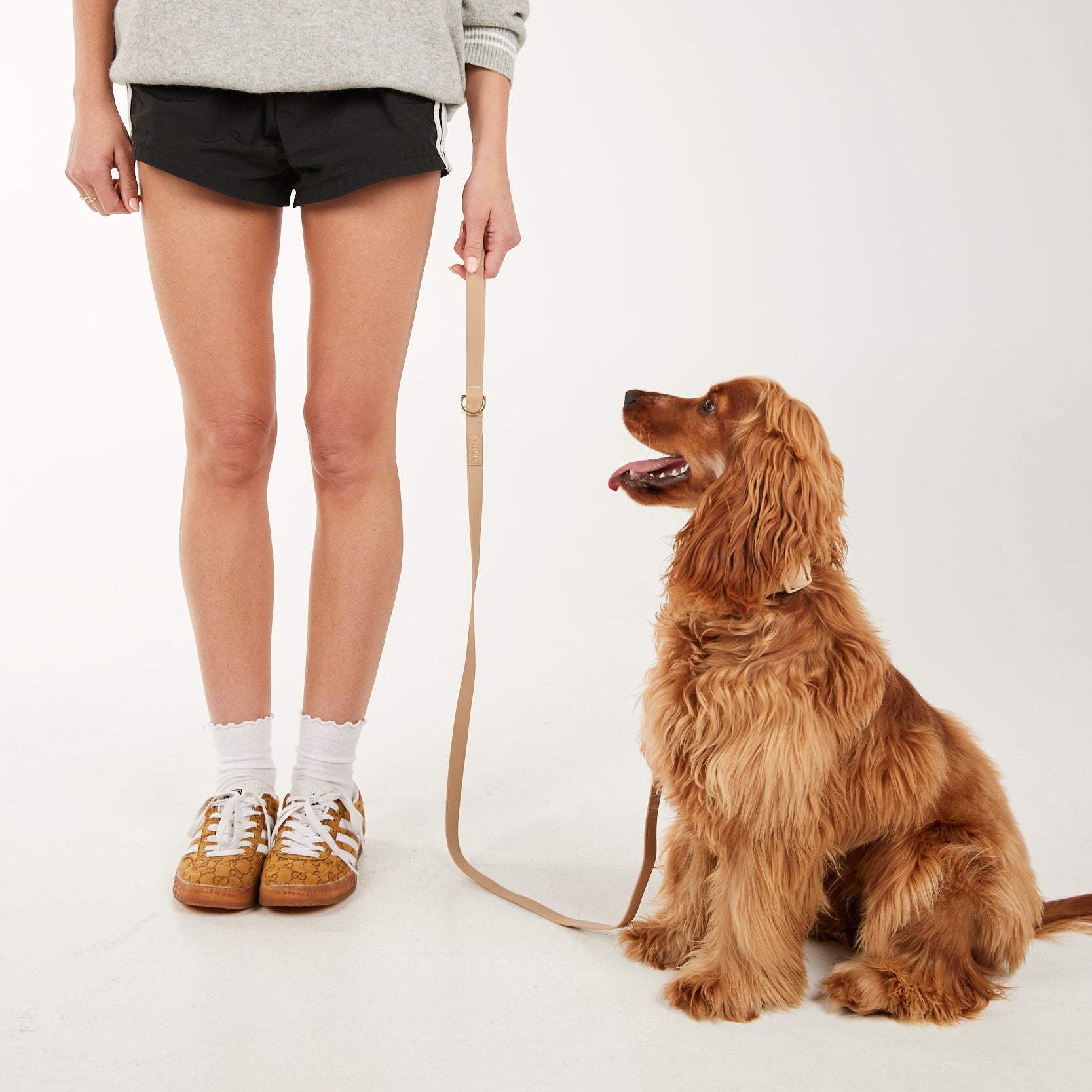 Person standing next to a dog on a leash against a white background