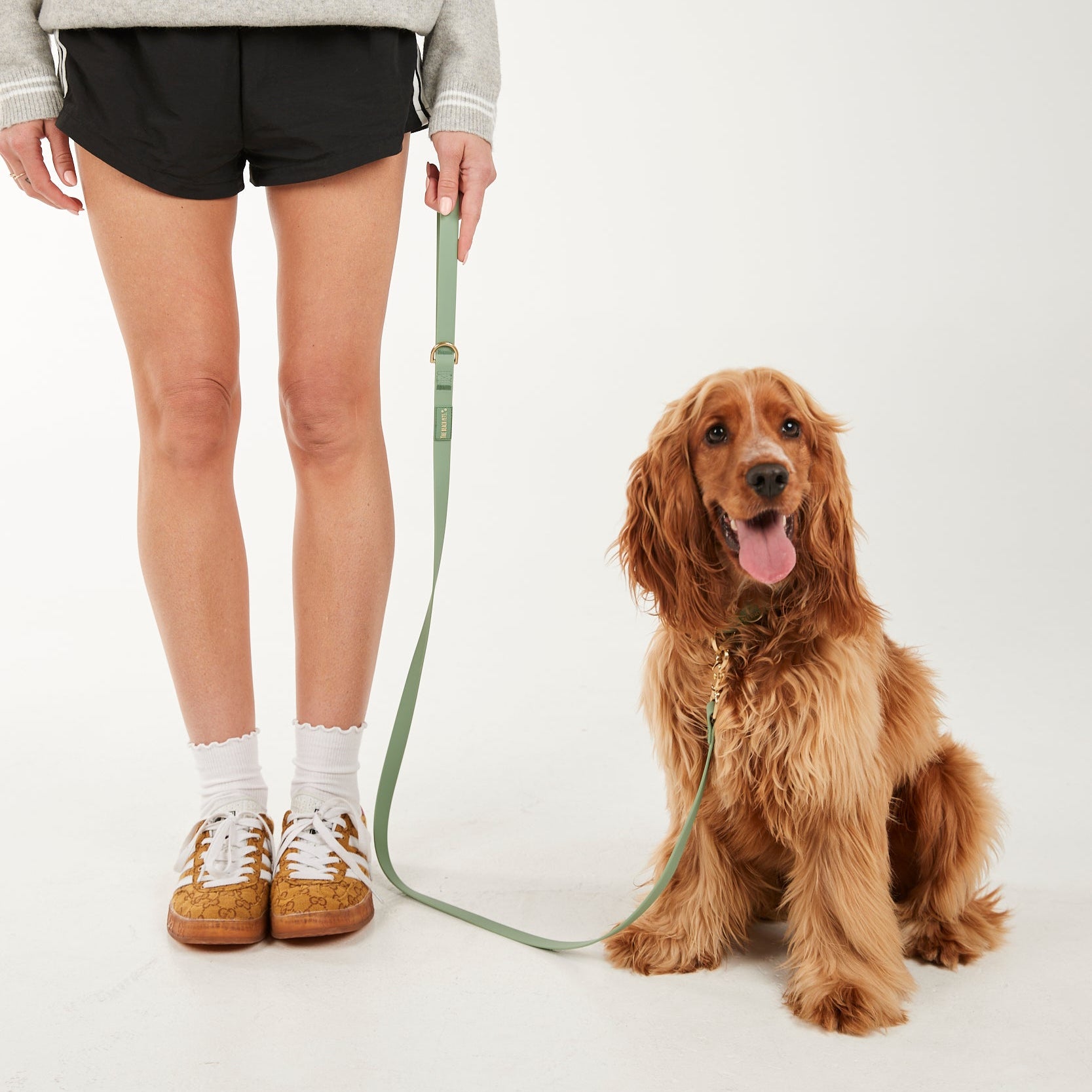 Person wearing a gray sweatshirt and black shorts with a dog on a leash against a white background