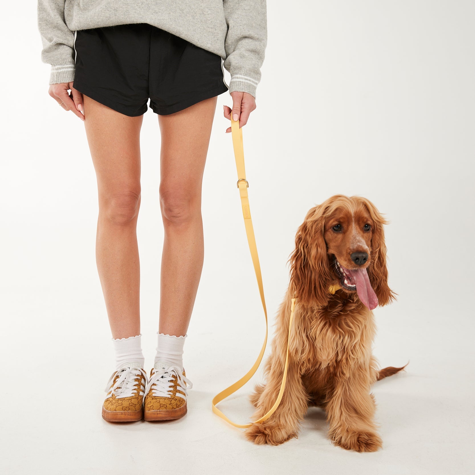 Person wearing a gray sweatshirt and black shorts standing next to a brown dog on a white background