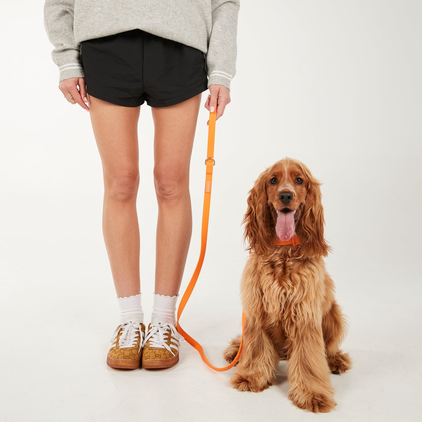 Person in gray sweater and black shorts standing with a dog on a white background