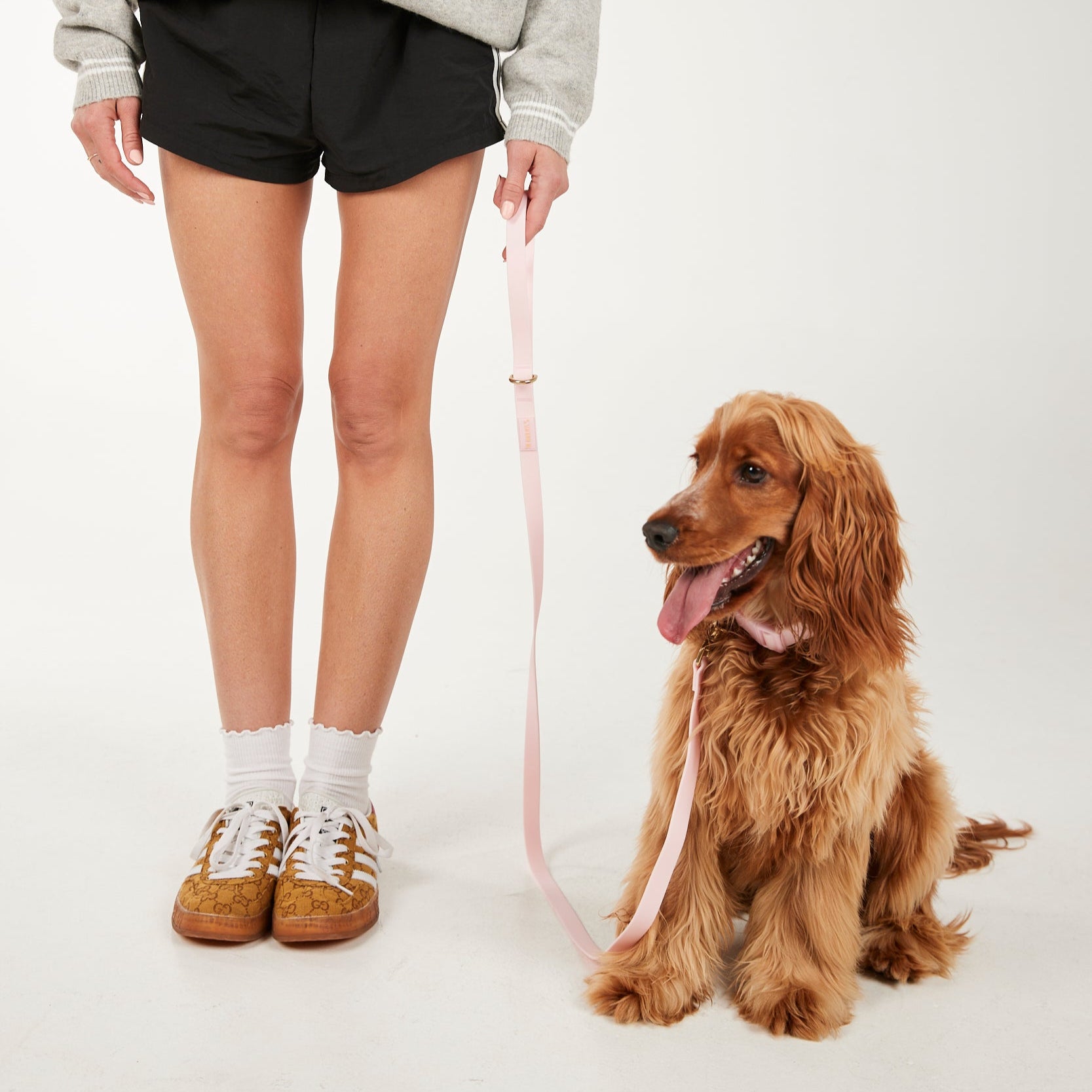 Person wearing a gray sweatshirt and black shorts with a brown dog on a white background