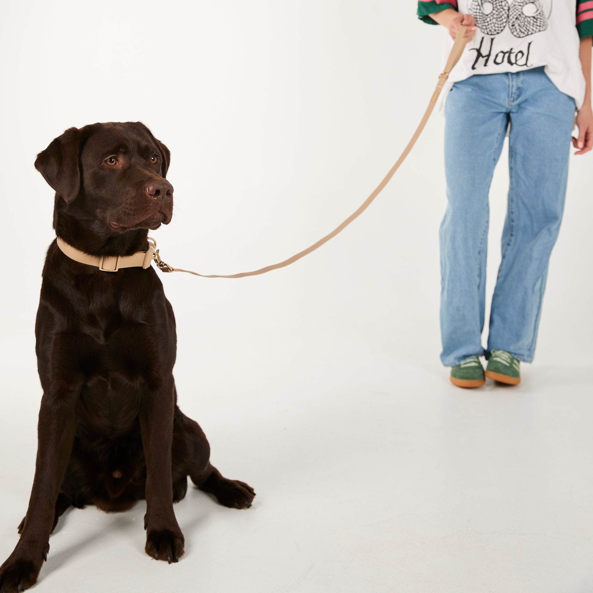 Black dog on a leash with a person wearing jeans and a graphic t-shirt on a white background