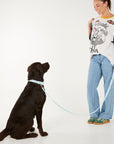 Woman standing next to a black dog on a white background