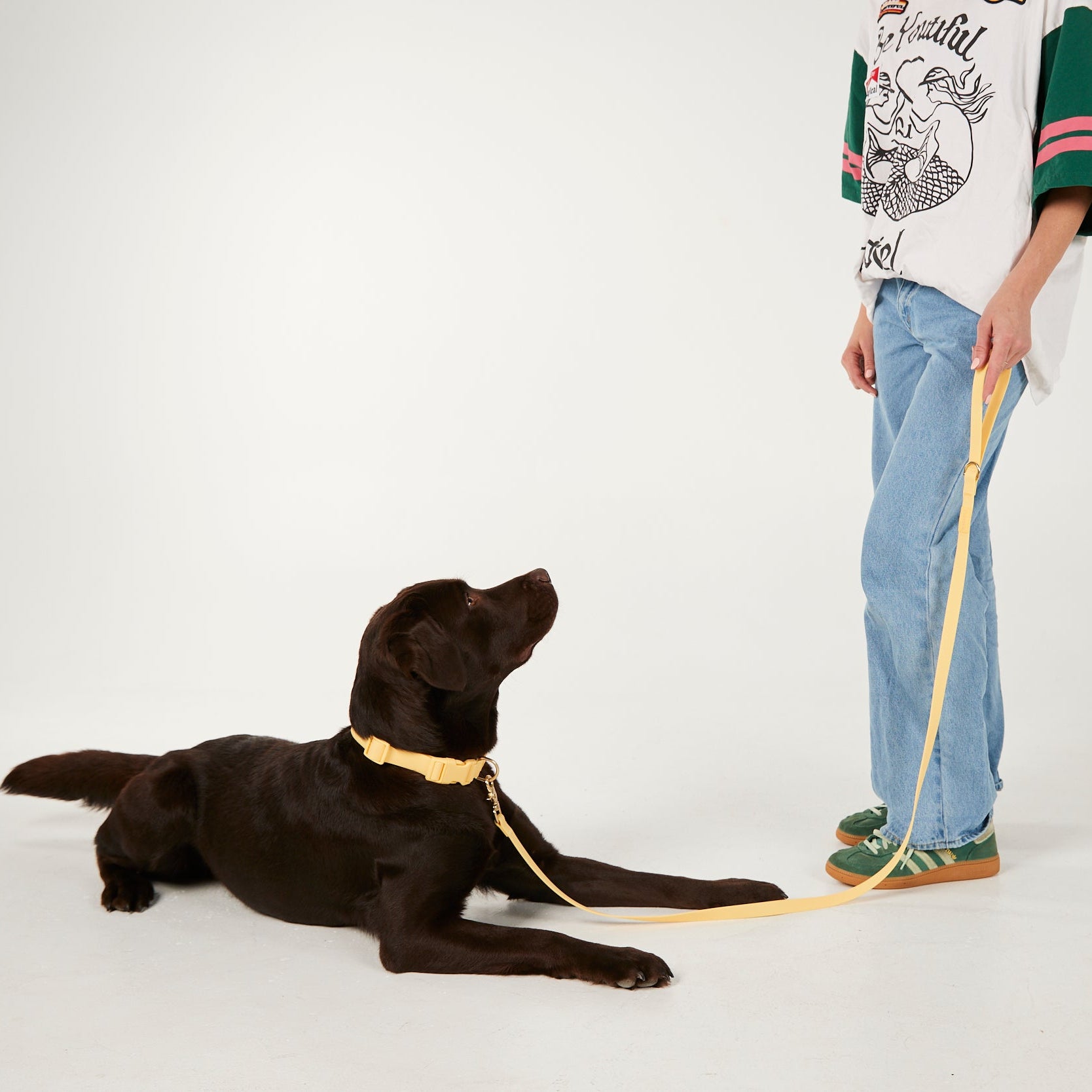 Person with a dog on a leash against a white background