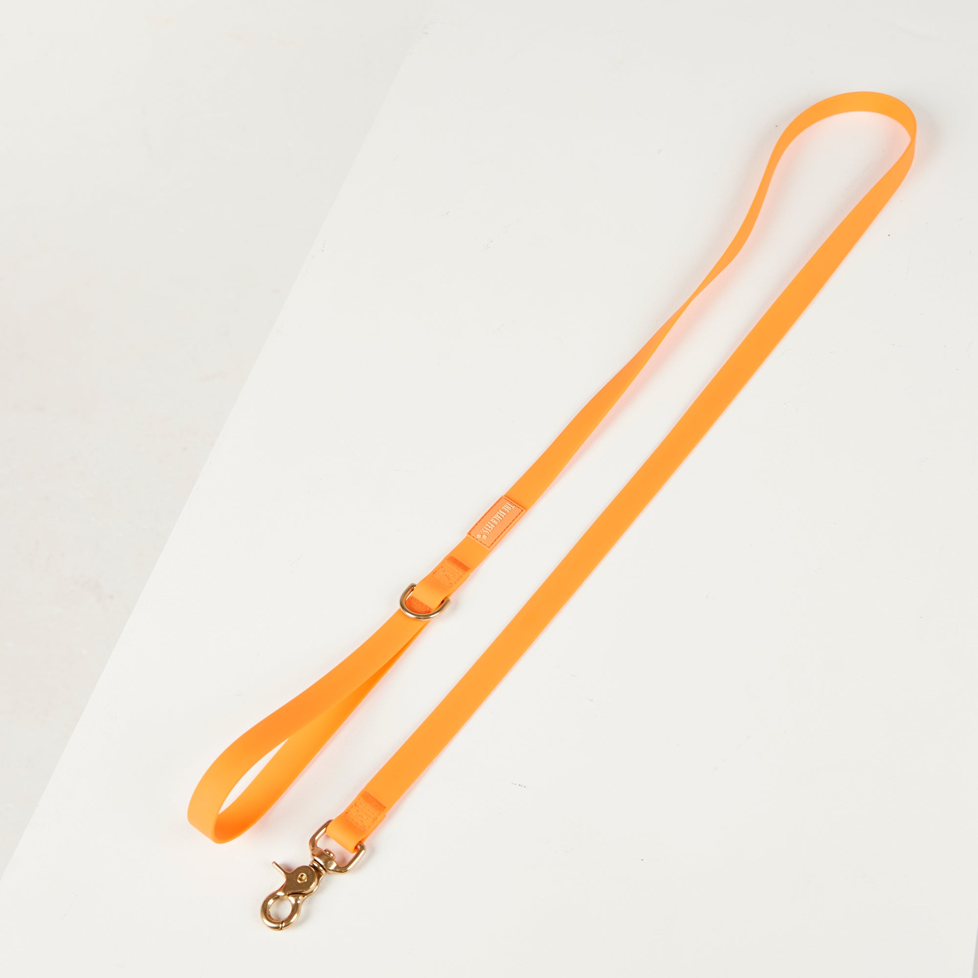 Orange leadd with a gold clasp on a white background