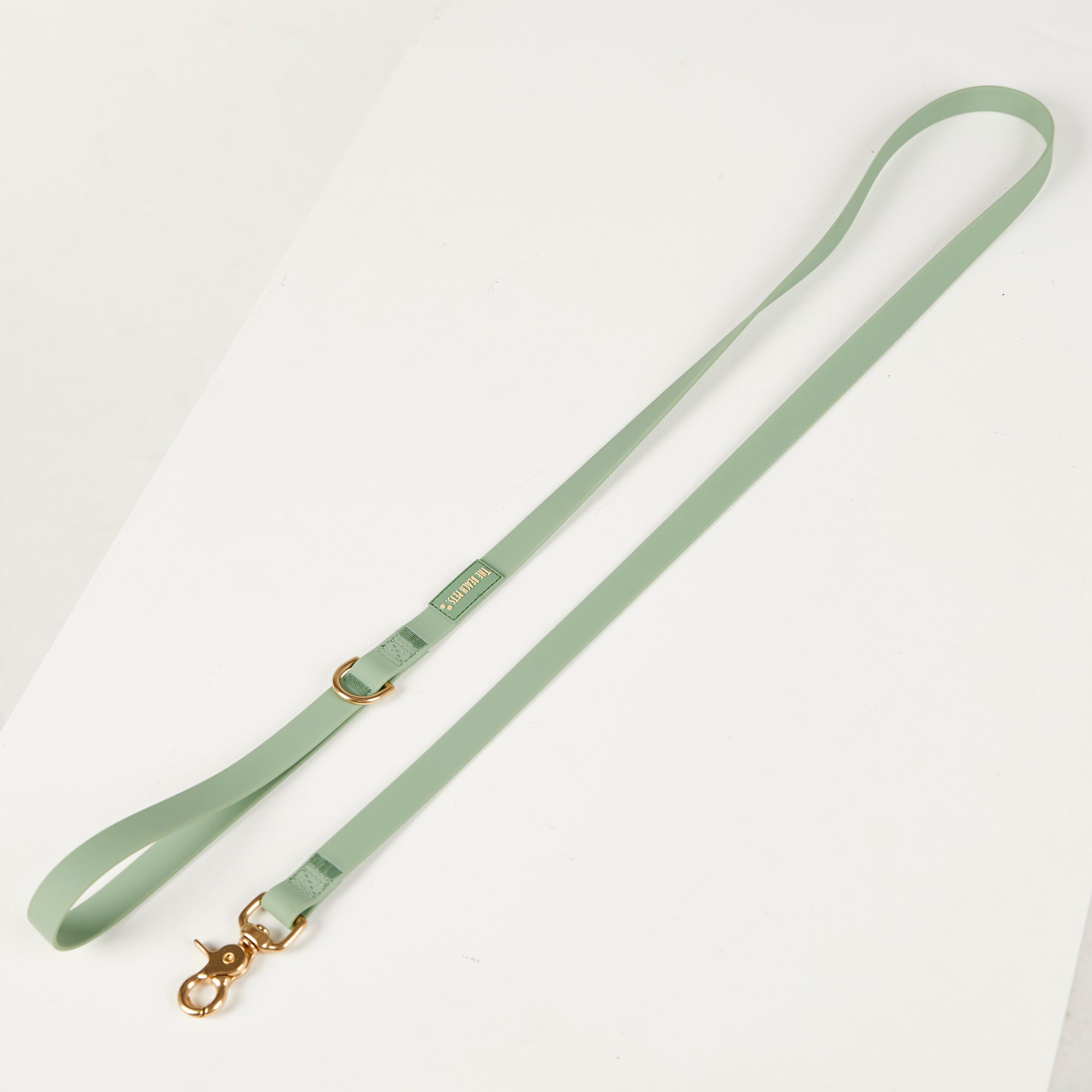 Light green dog leash with gold hardware on a white background