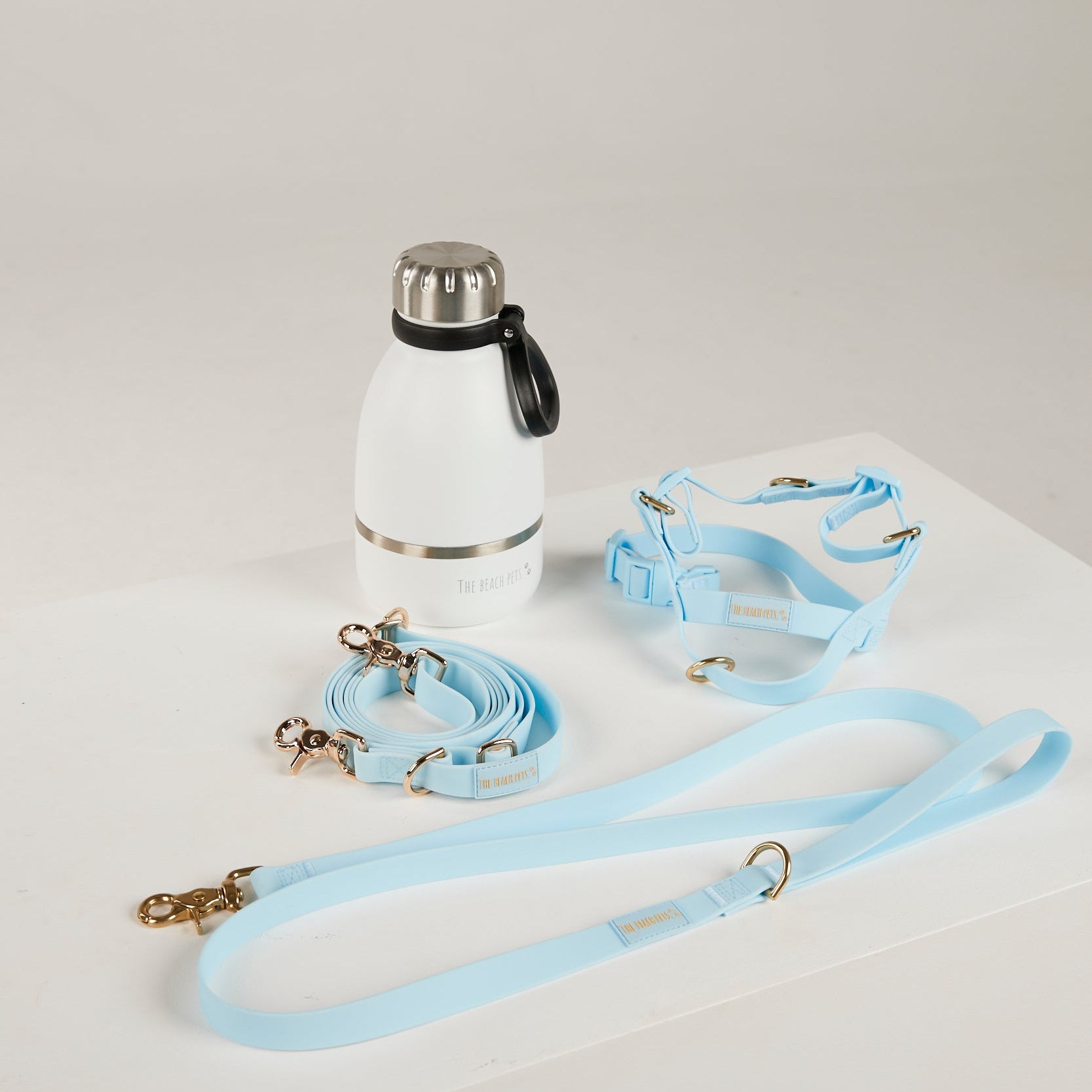 blue dog lead, harness, and botte 