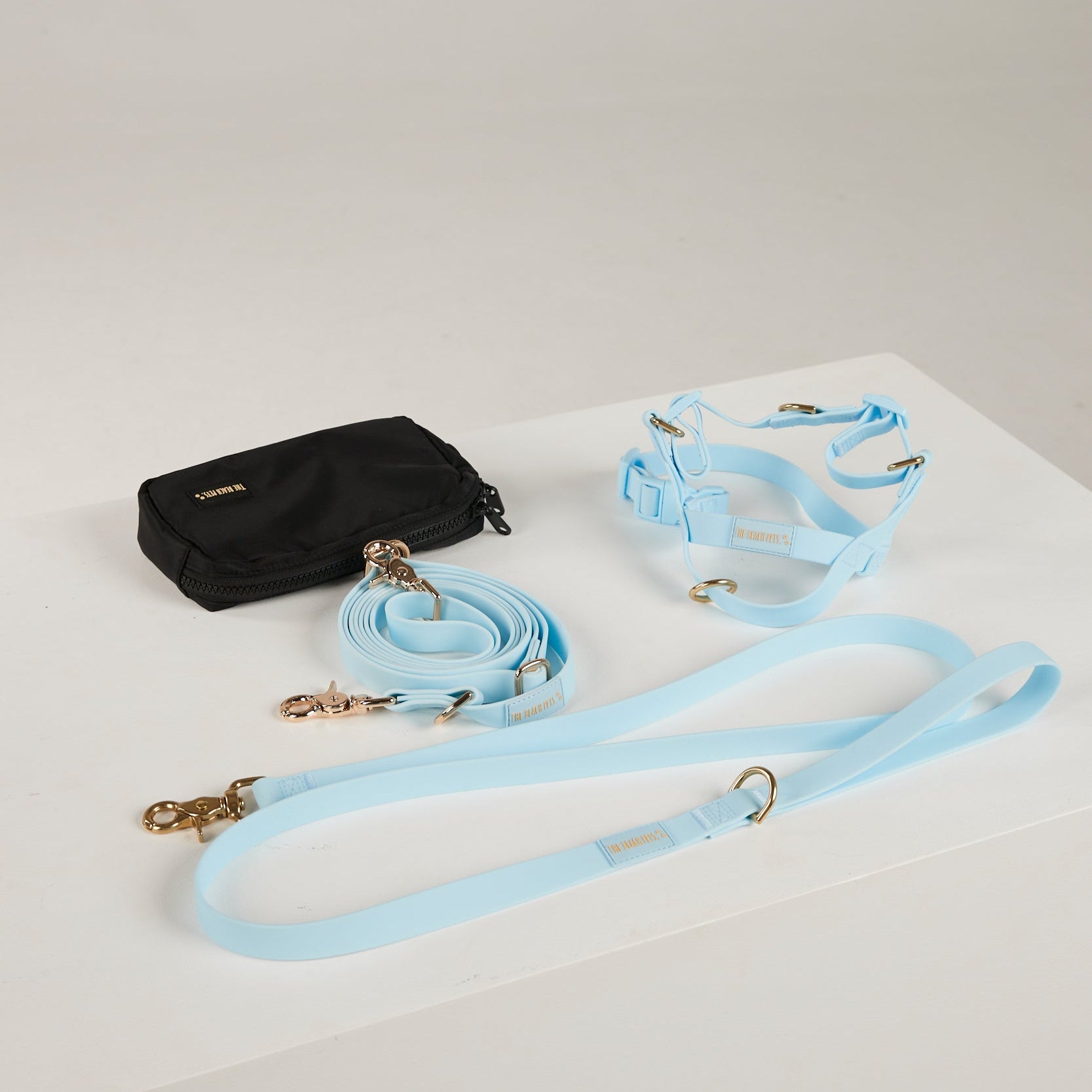 blue dog lead, harness and poop bag