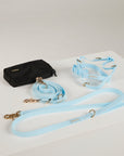 blue dog lead, harness and poop bag