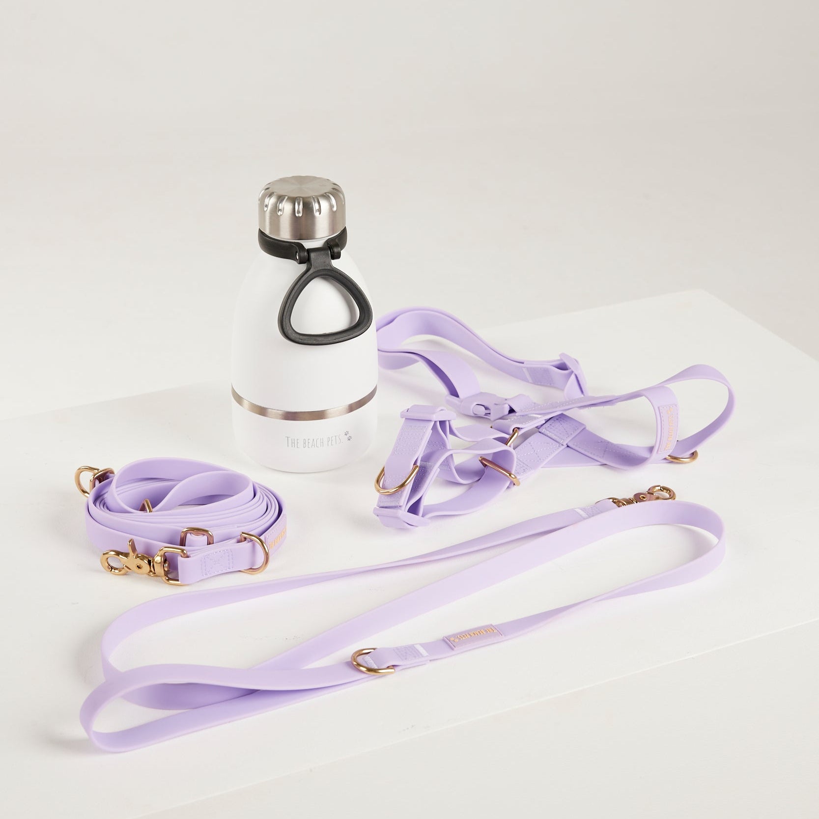purple  dog lead, harness, and botte 
