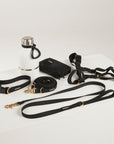 Dog training equipment including a collar, leash, and remote trainer on a white background