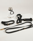 black dog lead, harness, collar and bottle