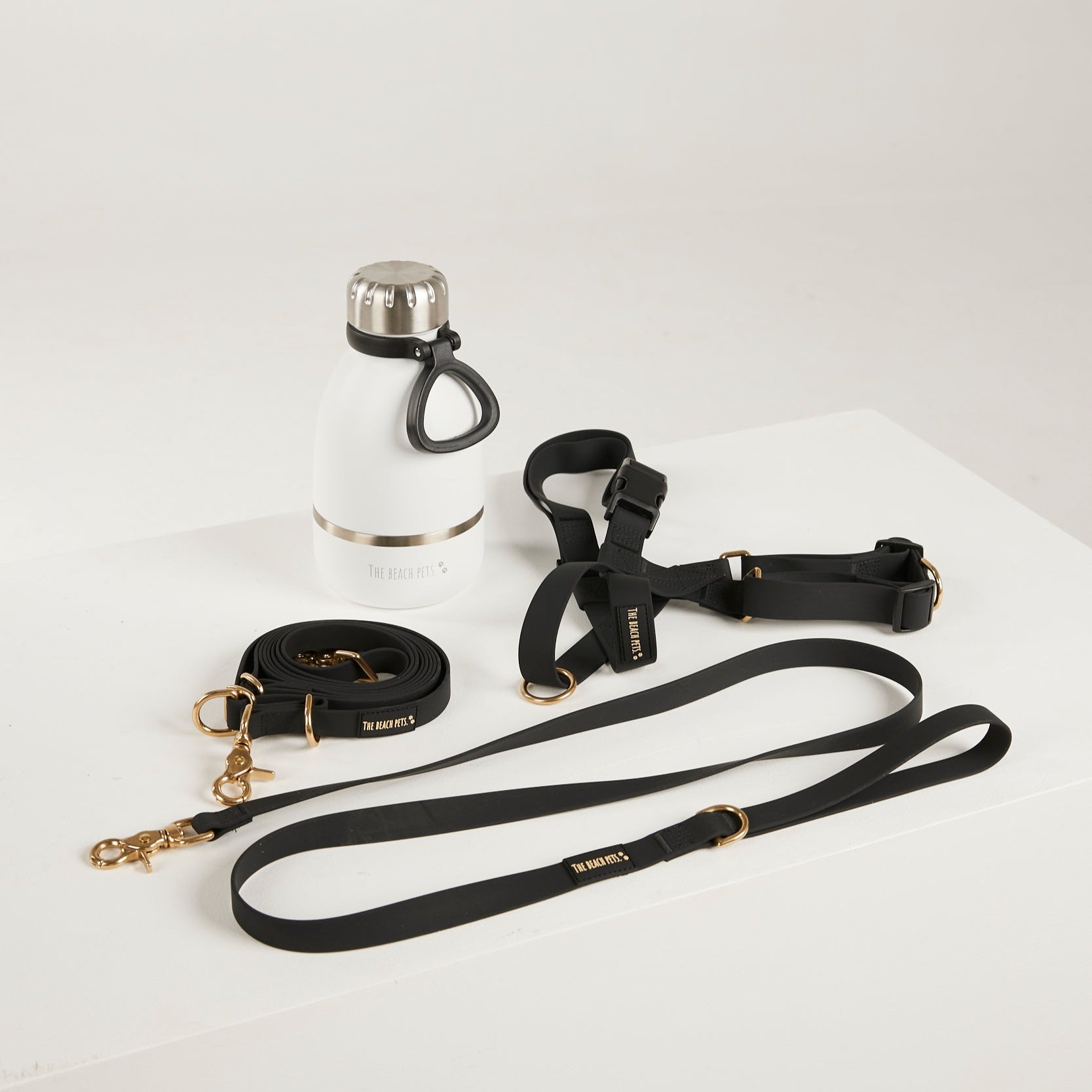 Dog leash, collar, and water bottle on a white background