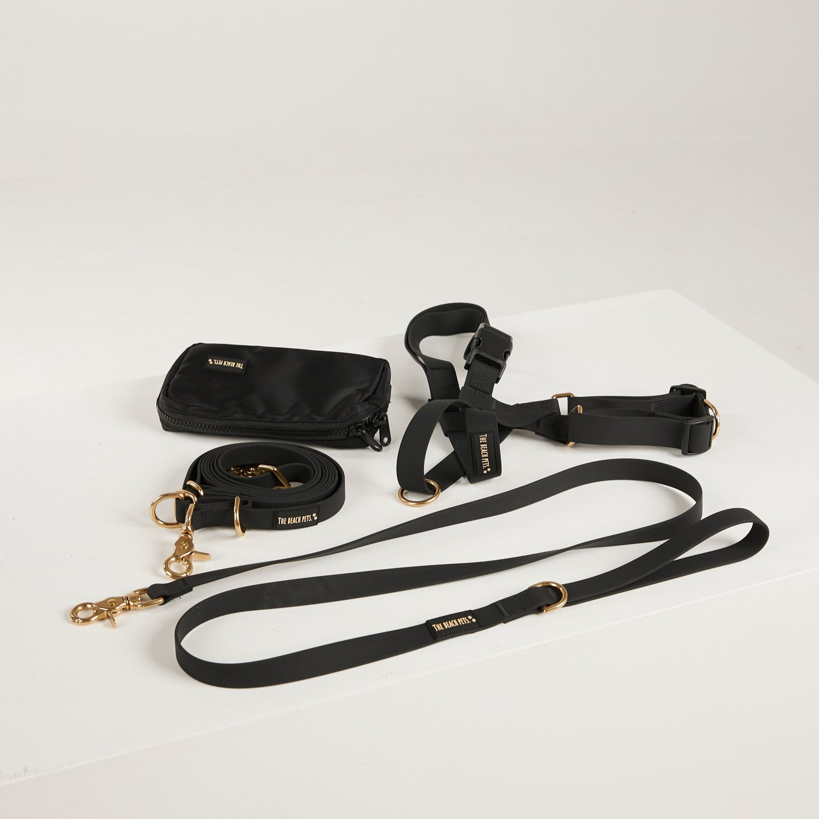 black dog lead, harness and poop bag