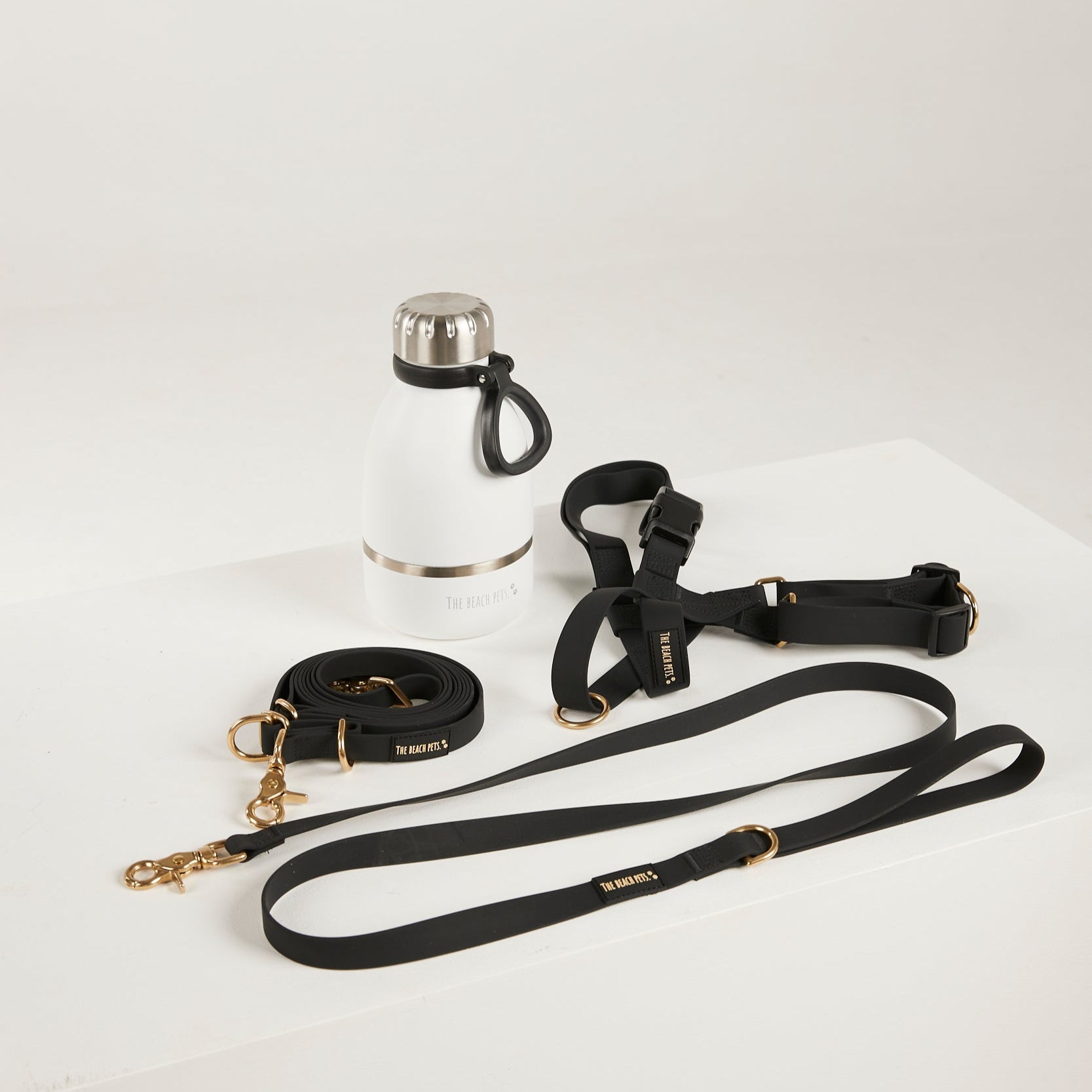 back  dog lead, harness, and botte 