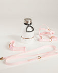 pink dog lead, harness, collar and bottle