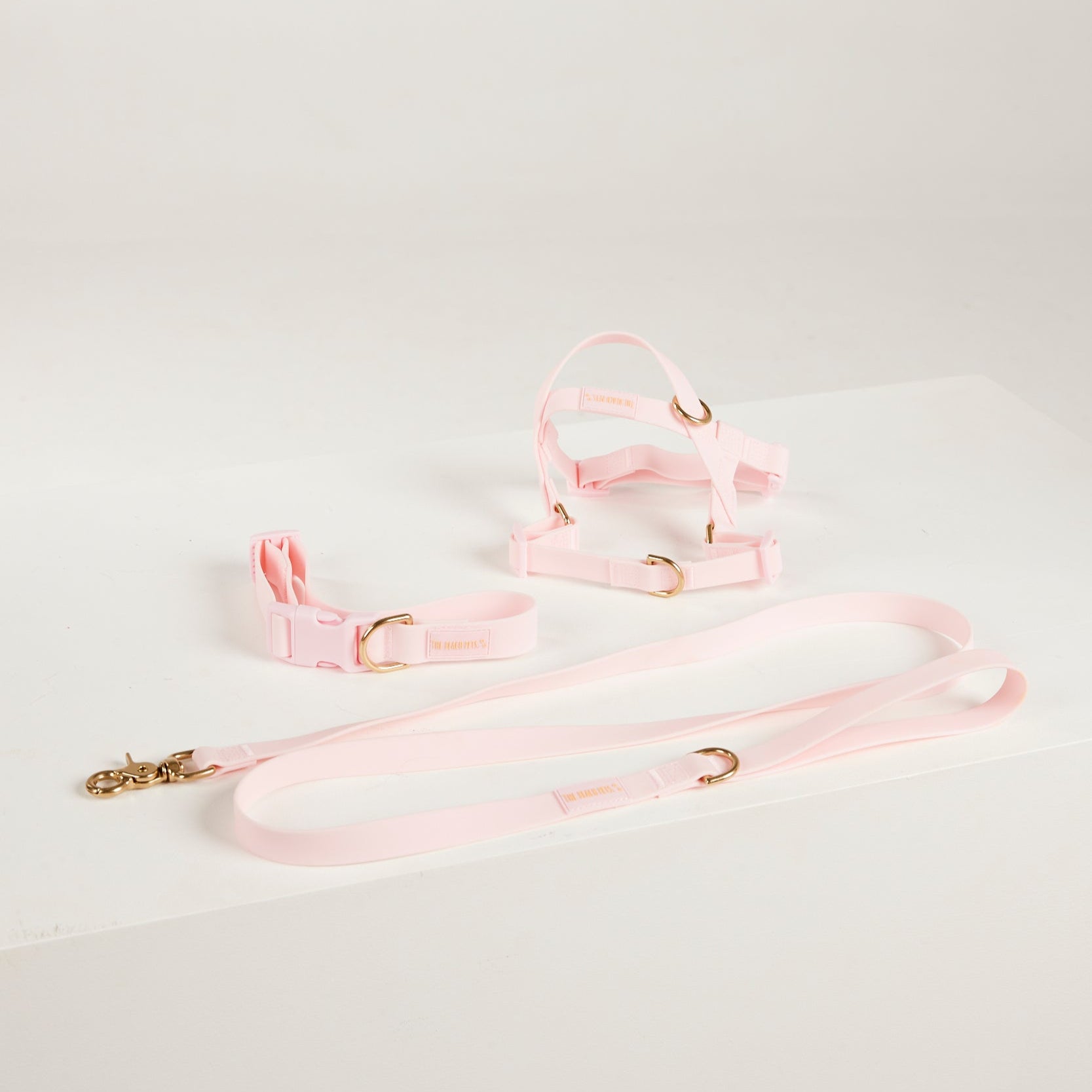 pink collar lead harness 