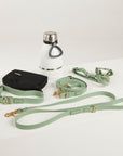 Dog leash, collar, and water bottle on a white background