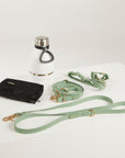 green dog lead, dog water bottle, dog harness, dog poo bag pouch 