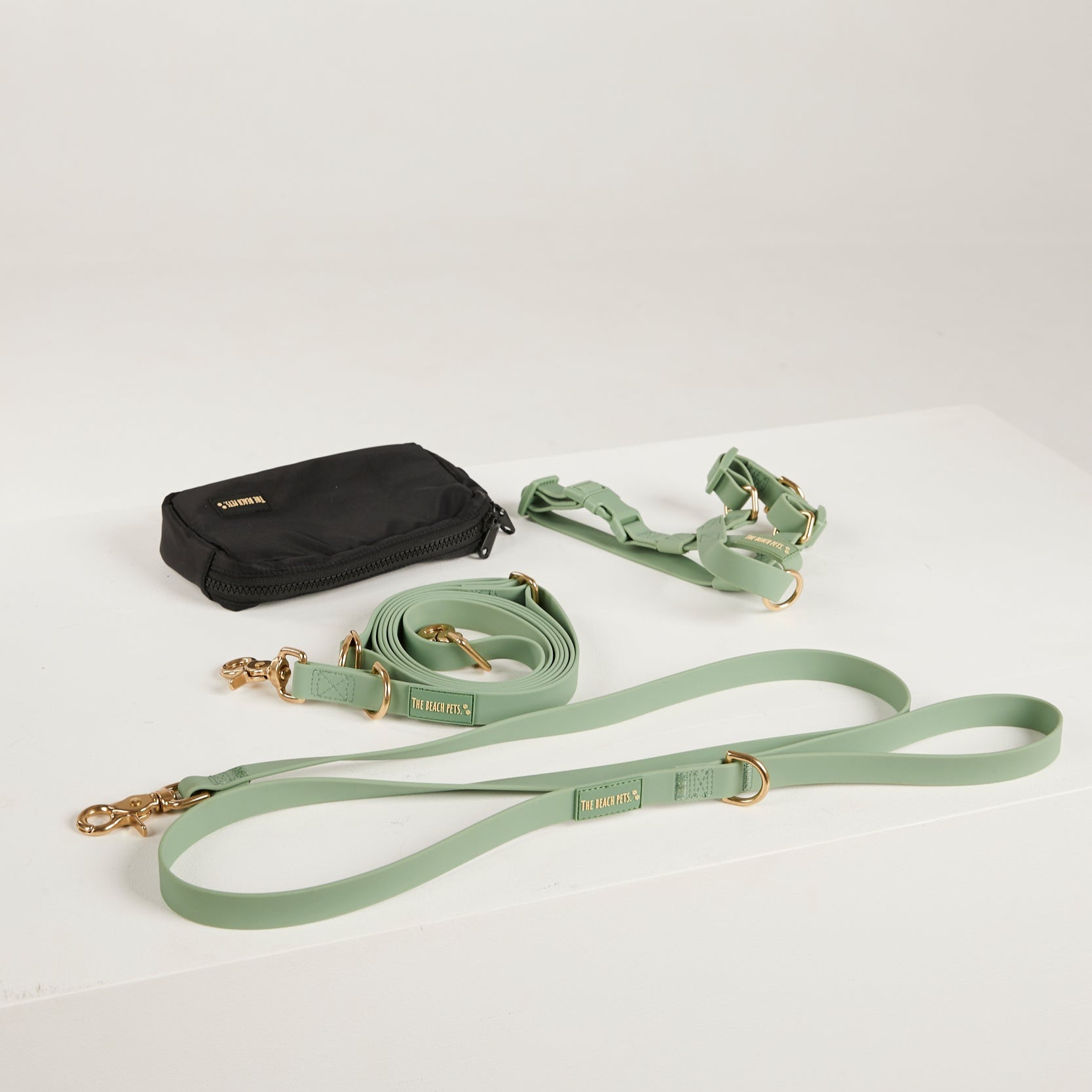 green dog lead, harness and poop bag