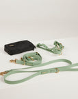 green dog lead, harness and poop bag