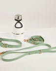 green dog lead, harness, collar and bottle