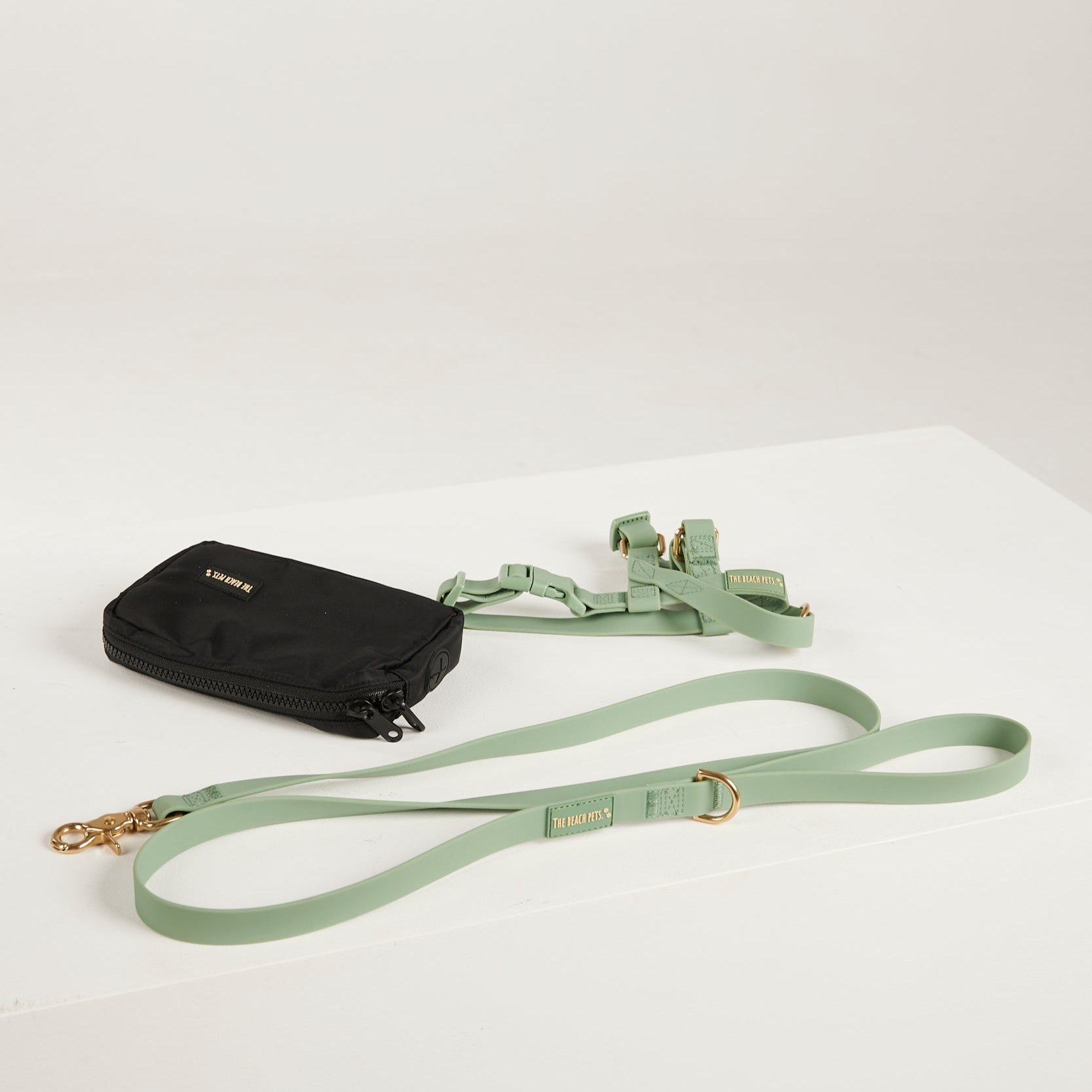 green lead, harness, poo bag dog kit 