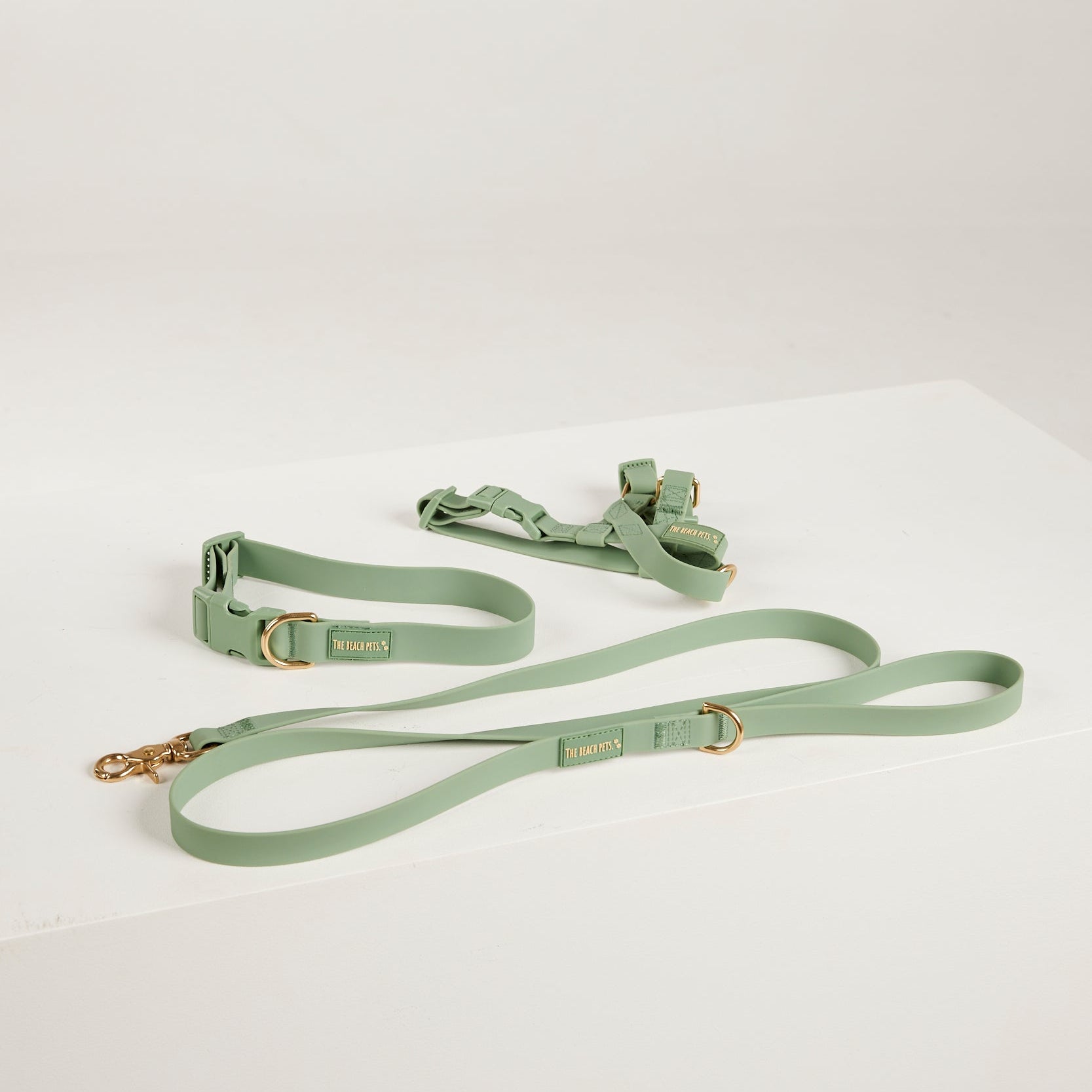 green collar lead harness 