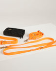 orange  dog collar, dog lead and dog poop bag pouch