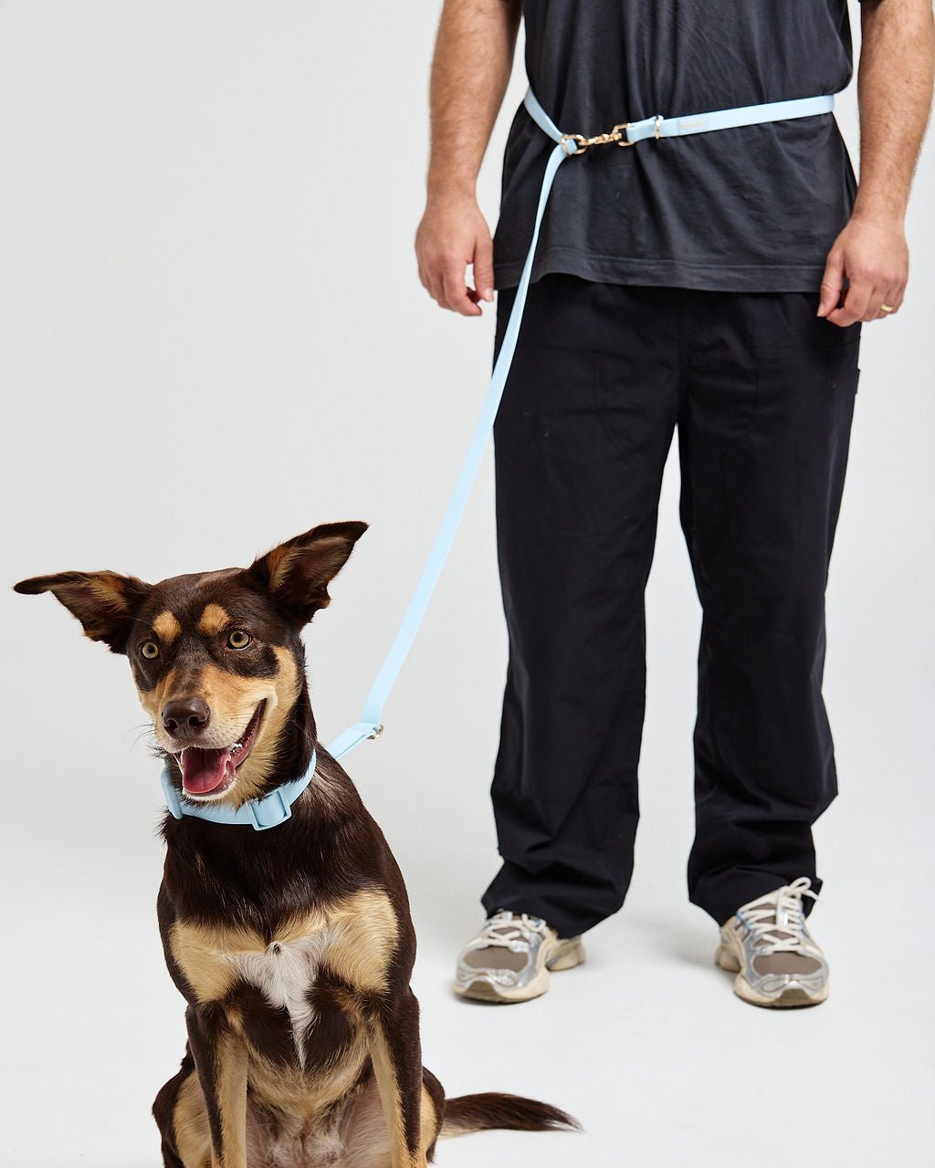 Hands Free Dog Lead - Sky Blue