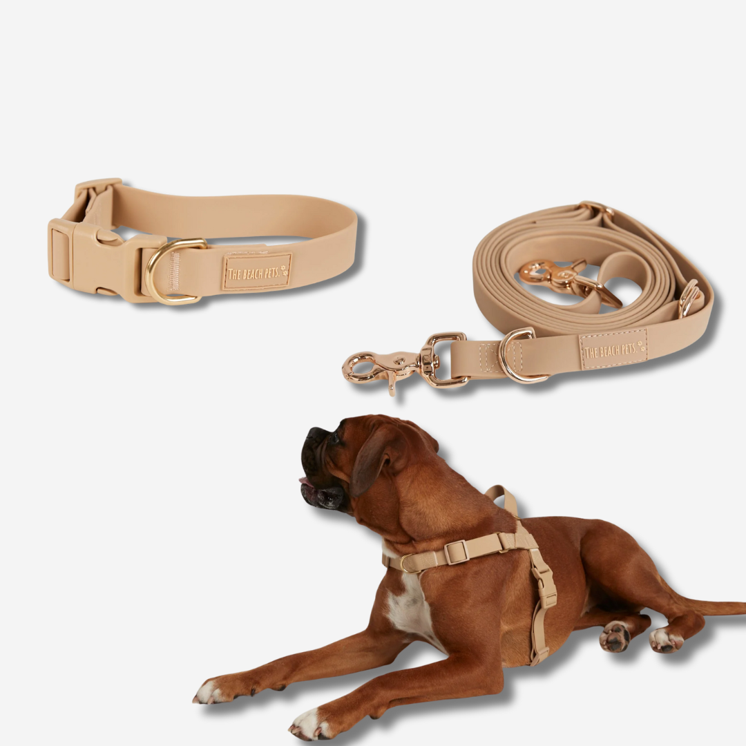 Hands Free Daily Pack