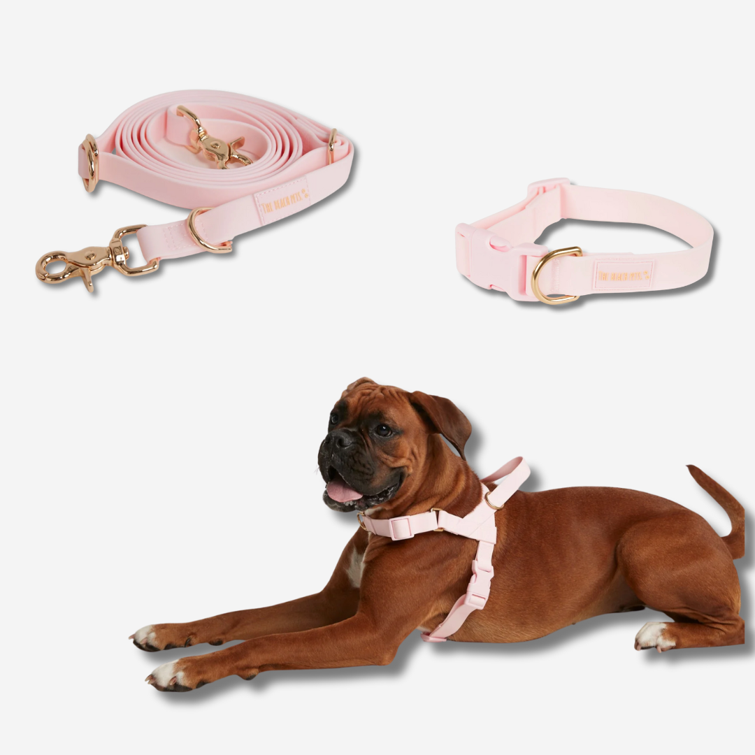 Hands Free Daily Pack