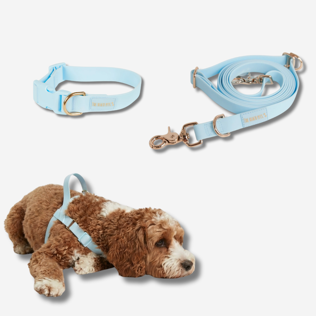 Hands Free Daily Pack