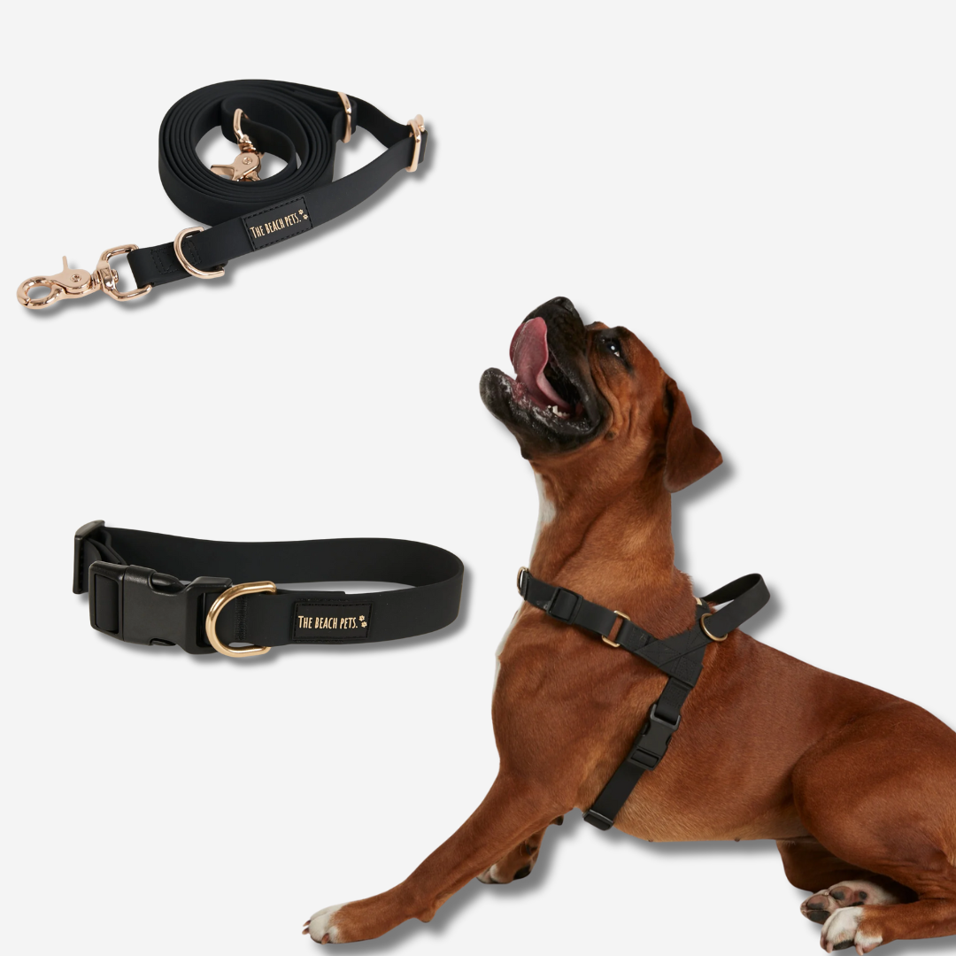 Hands Free Daily Pack