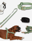 Ultimate Walk Pack
